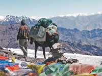 Markha Valley Trek